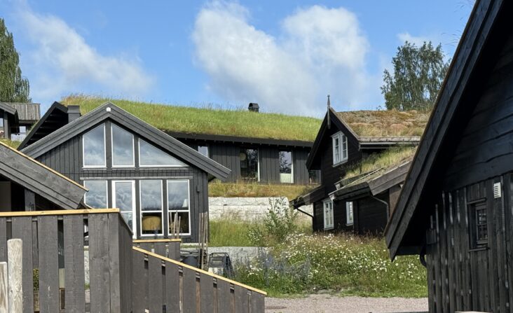 <strong>Rikt utvalg på Norsk Hyttesenter</strong>
