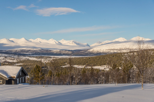 8_area_1.jpg, 9_area_2.jpg, 19_terrasse_utsikt_1.jpg, 20_utsikt_1.jpg, Låvåshaugen-8-1.jpg, Låvåshaugen-10-2.jpg